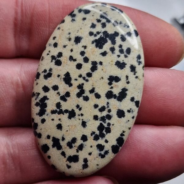 Dalmation jasper