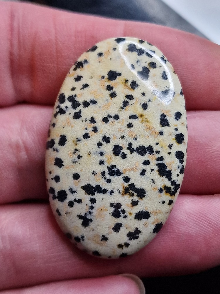 44x28mm dalmation jasper cabochon
