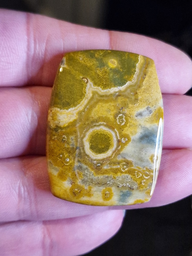 43x33mm Ocean jasper cabochon