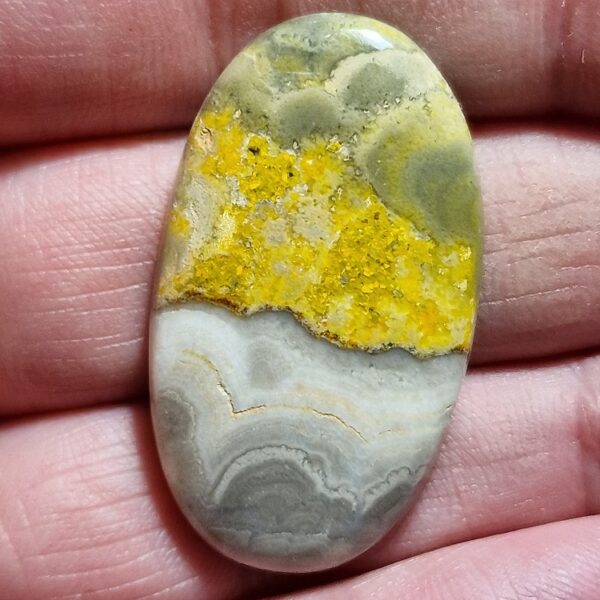 39x22mm bumblebee jasper cabochon