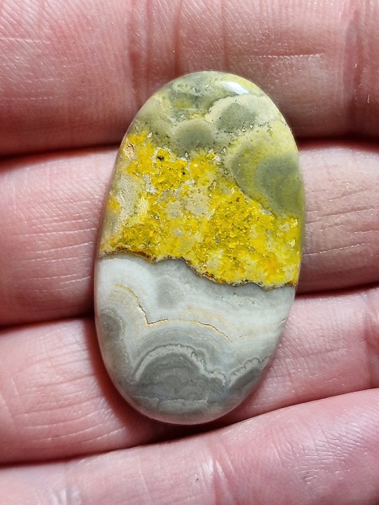 39x22mm bumblebee jasper cabochon