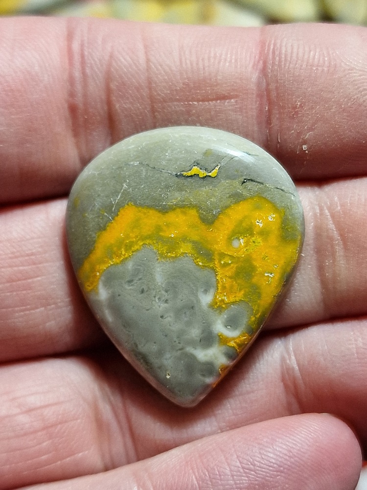 34x28mm bumblebee jasper cabochon