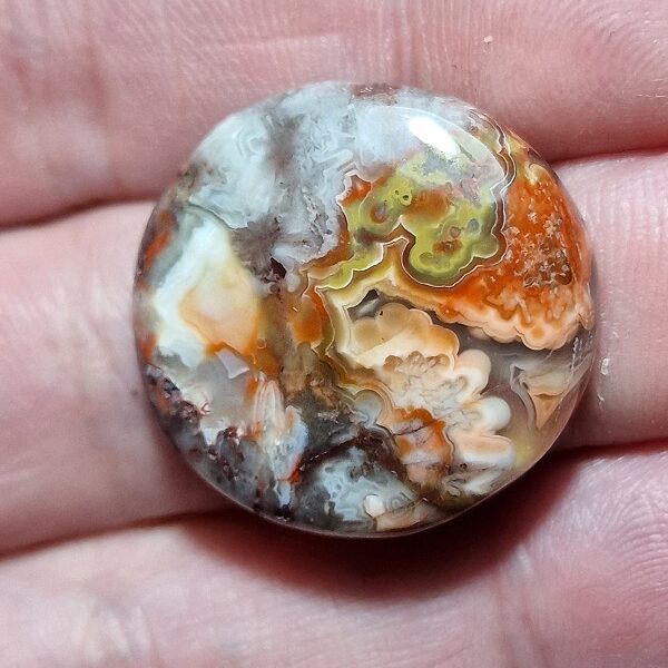 Crazy Lace Agate