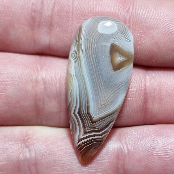 38x17mm Botswana agate cabochon