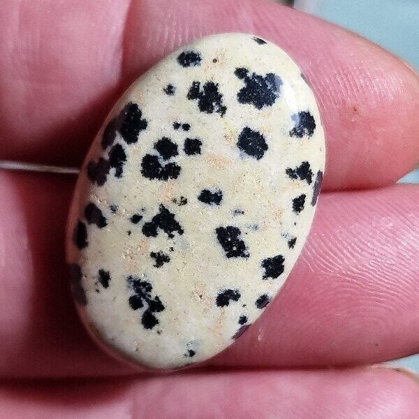 32x20mm dalmation jasper cabochon