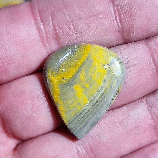 30x24mm bumblebee jasper cabochon