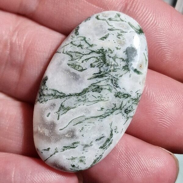 40x24mm green tree agate cabochon