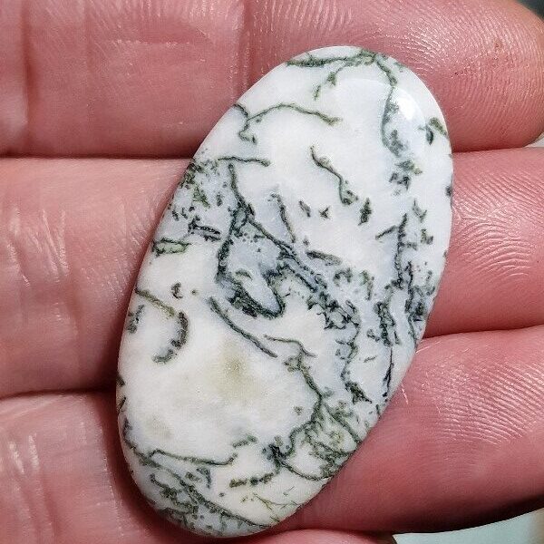 42x23mm green tree agate cabochon