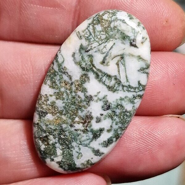 40x23mm green tree agate cabochon