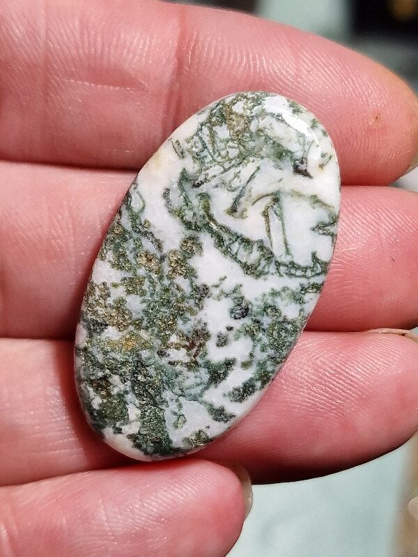 40x23mm green tree agate cabochon