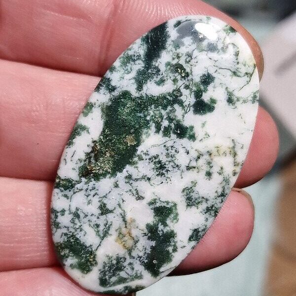 50x28mm green tree agate cabochon