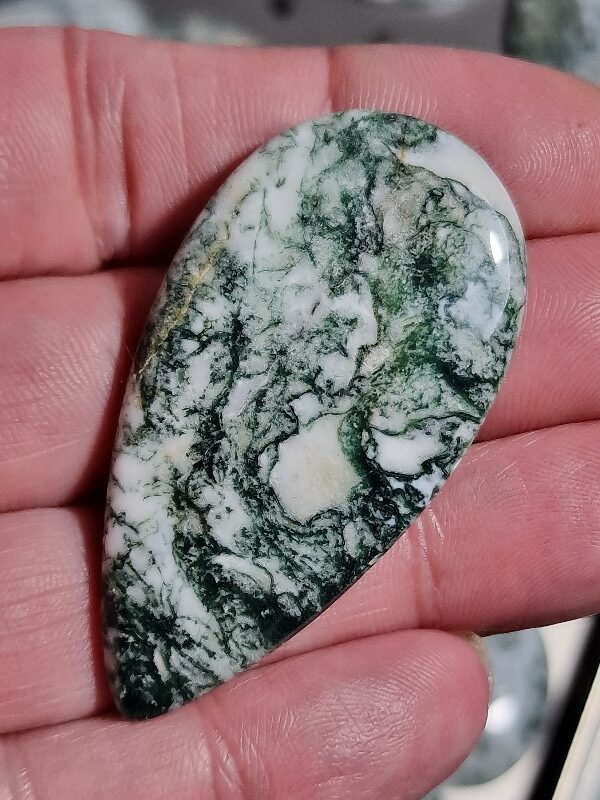 55x29mm green tree agate cabochon