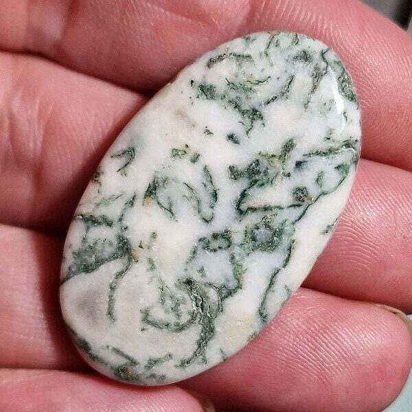 43x25mm green tree agate cabochon
