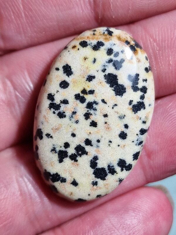 35x22mm dalmation jasper cabochon
