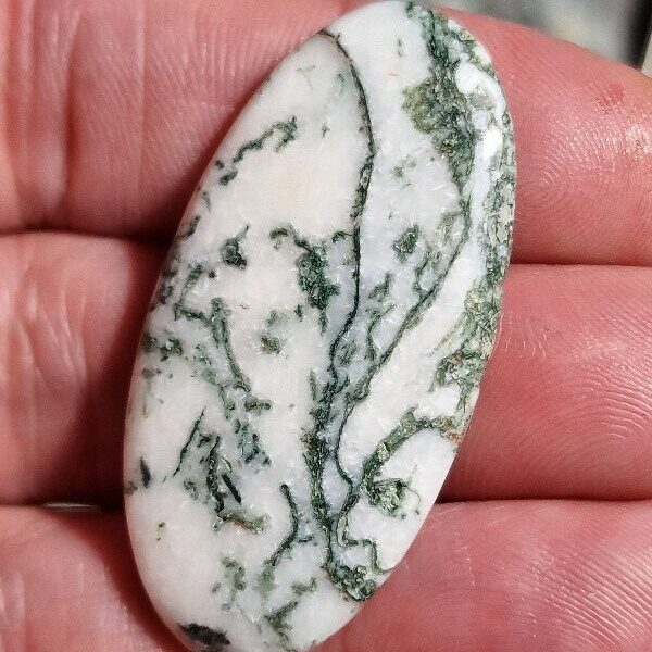 46x23mm green tree agate cabochon