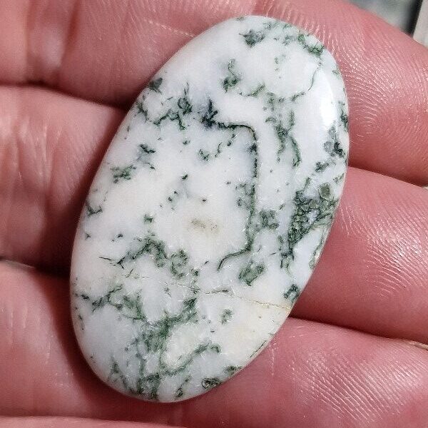 42x24mm green tree agate cabochon