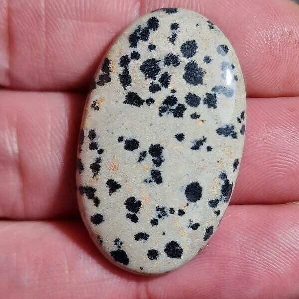37x23mm dalmation jasper cabochon