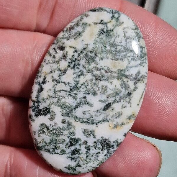 49x31mm green tree agate cabochon