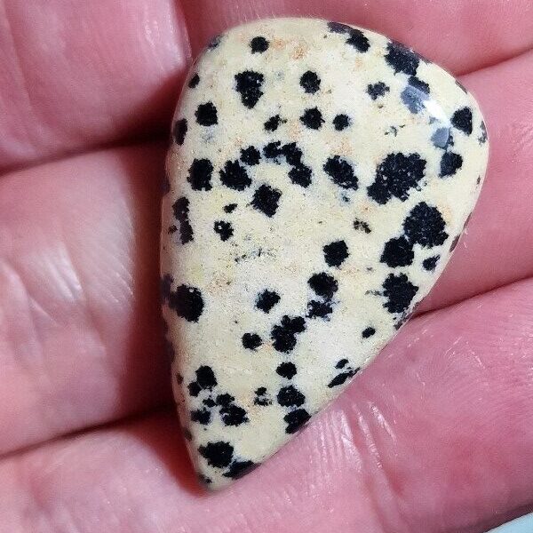 34x22mm dalmation jasper cabochon