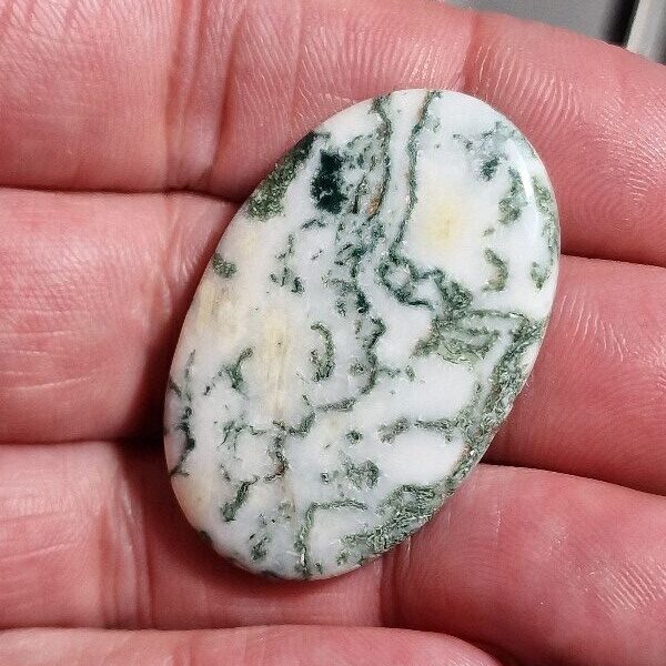 40x26mm green tree agate cabochon