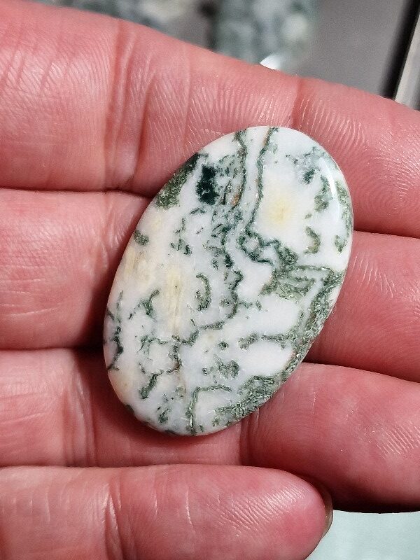 40x26mm green tree agate cabochon