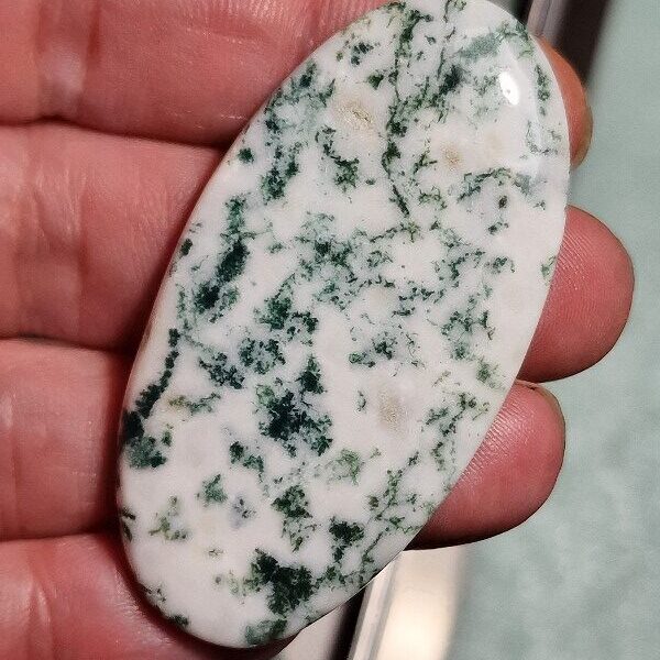 60x32mm green tree agate cabochon