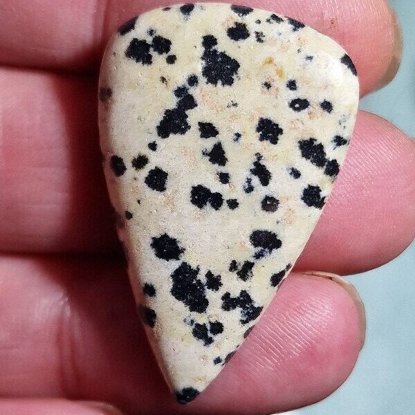 37x23mm dalmation jasper cabochon