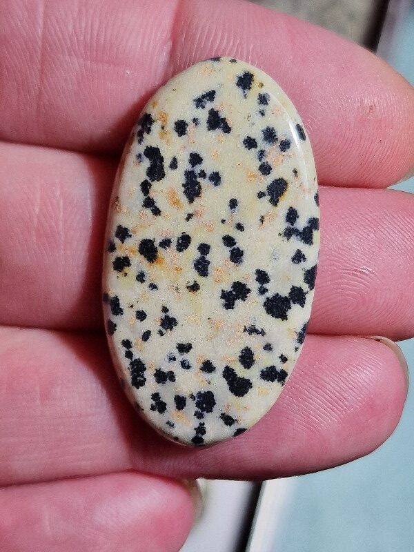 40x21mm dalmation jasper cabochon