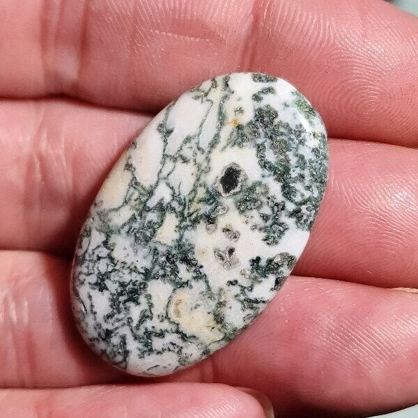 38x23mm green tree agate cabochon