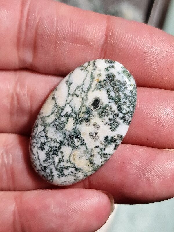 38x23mm green tree agate cabochon