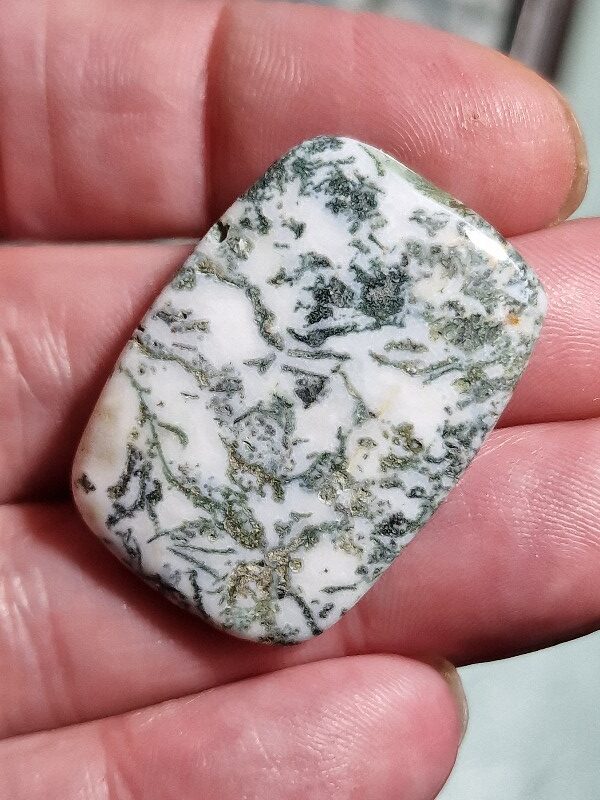 35x25mm green tree agate cabochon