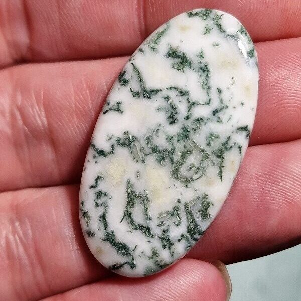 41x22mm green tree agate cabochon