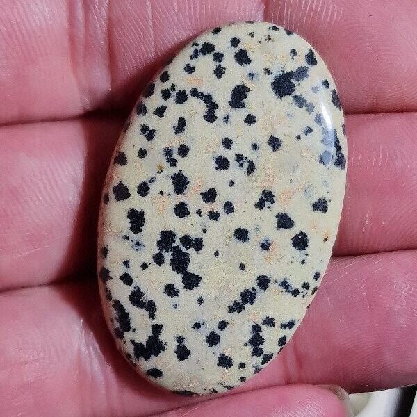 44x27mm dalmation jasper cabochon