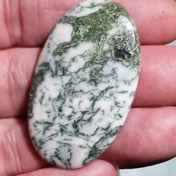 48x29mm green tree agate cabochon