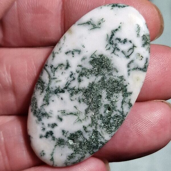 50x27mm green tree agate cabochon