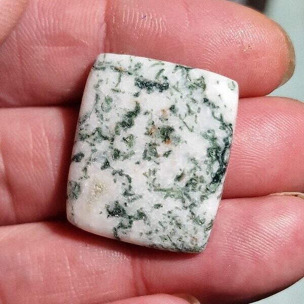 28x23mm green tree agate cabochon