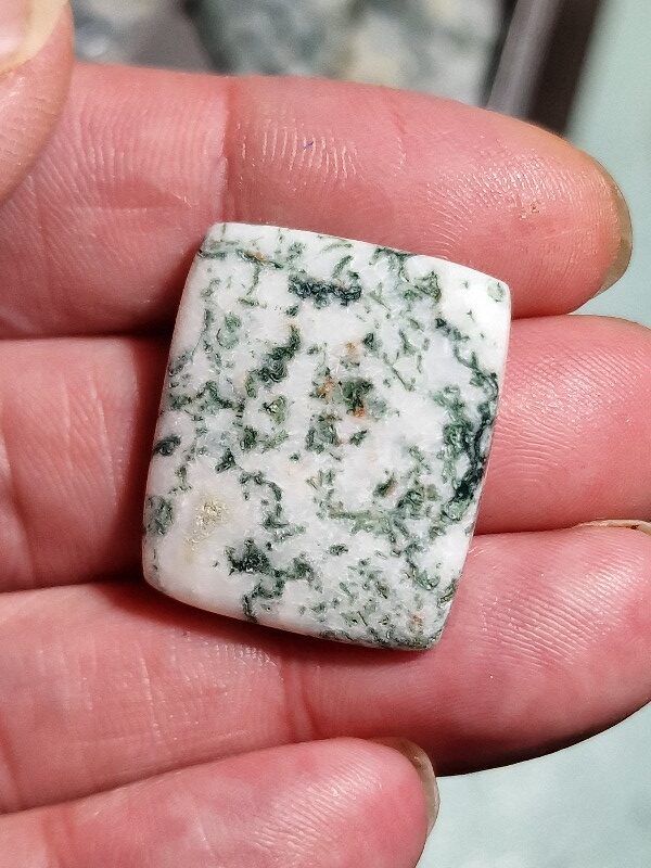 28x23mm green tree agate cabochon
