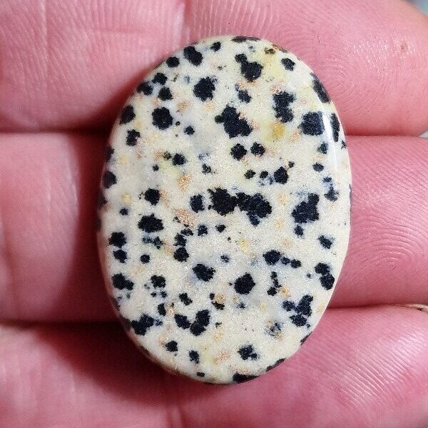 33x24mm dalmation jasper cabochon