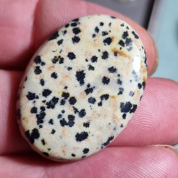 33x25mm dalmation jasper cabochon