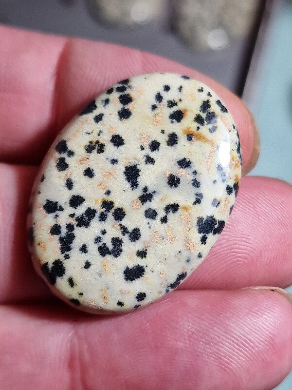 33x25mm dalmation jasper cabochon
