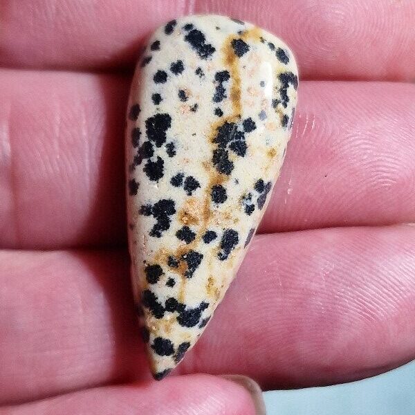 37x17mm dalmation jasper cabochon