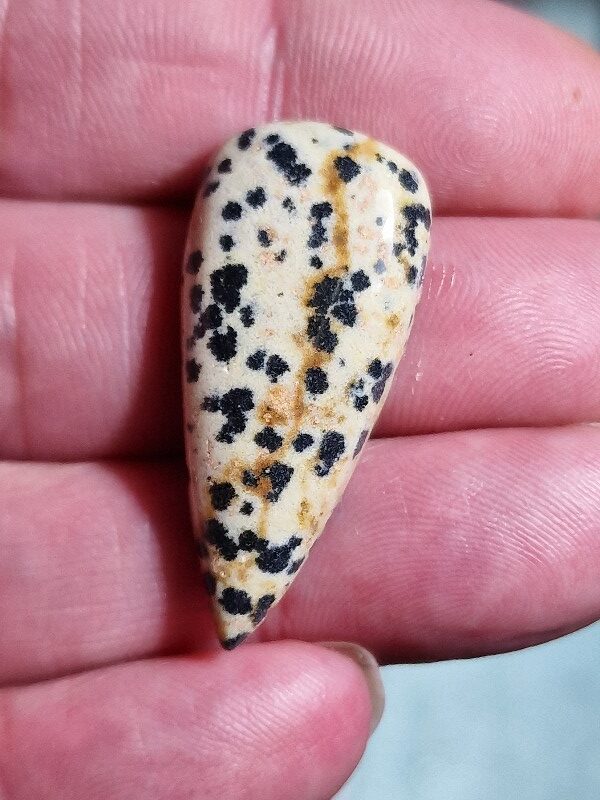 37x17mm dalmation jasper cabochon