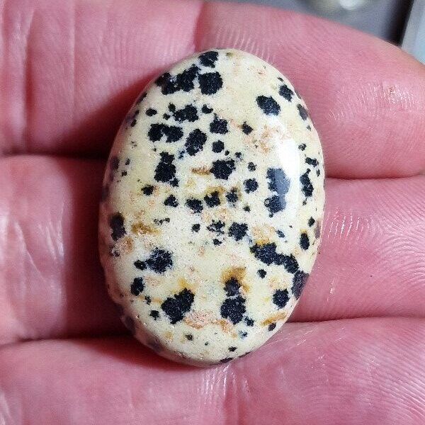 32x23mm dalmation jasper cabochon