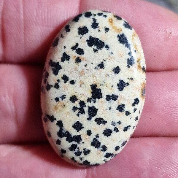 36x25mm dalmation jasper cabochon