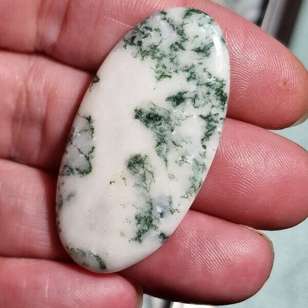 48x24mm green tree agate cabochon