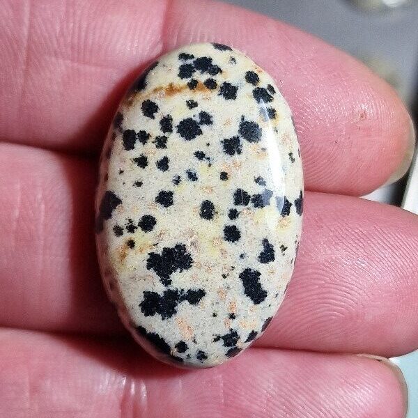 32x20mm dalmation jasper cabochon