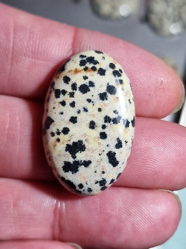 32x20mm dalmation jasper cabochon