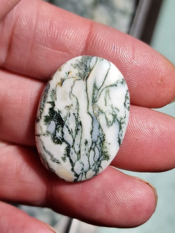 33x23mm green tree agate cabochon