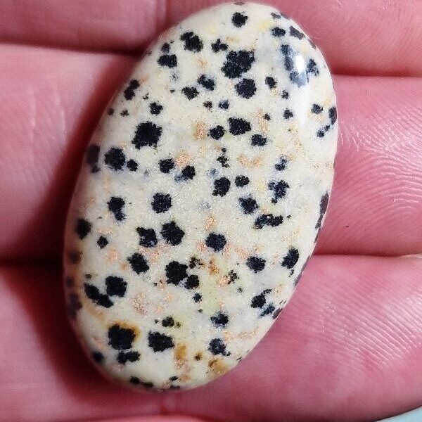 35x21mm dalmation jasper cabochon