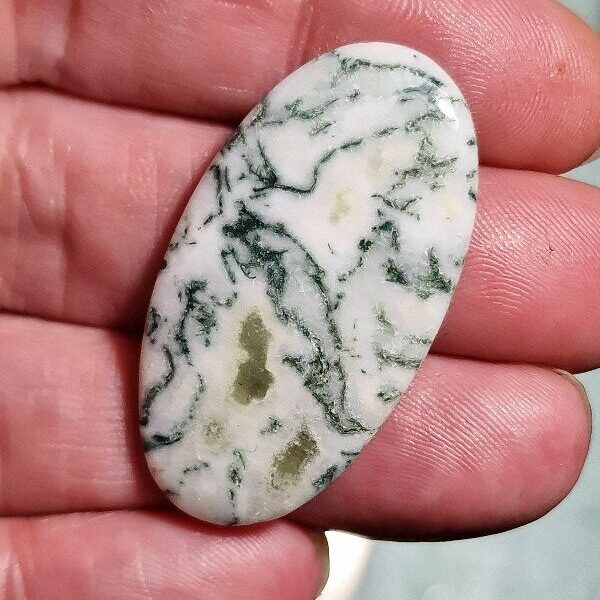 42x22mm green tree agate cabochon